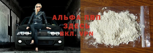 кокс Арсеньев