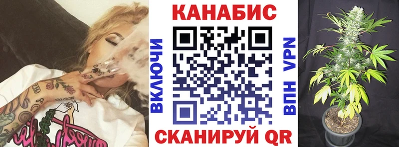закладки Солнечногорск Бошки Шишки марихуана